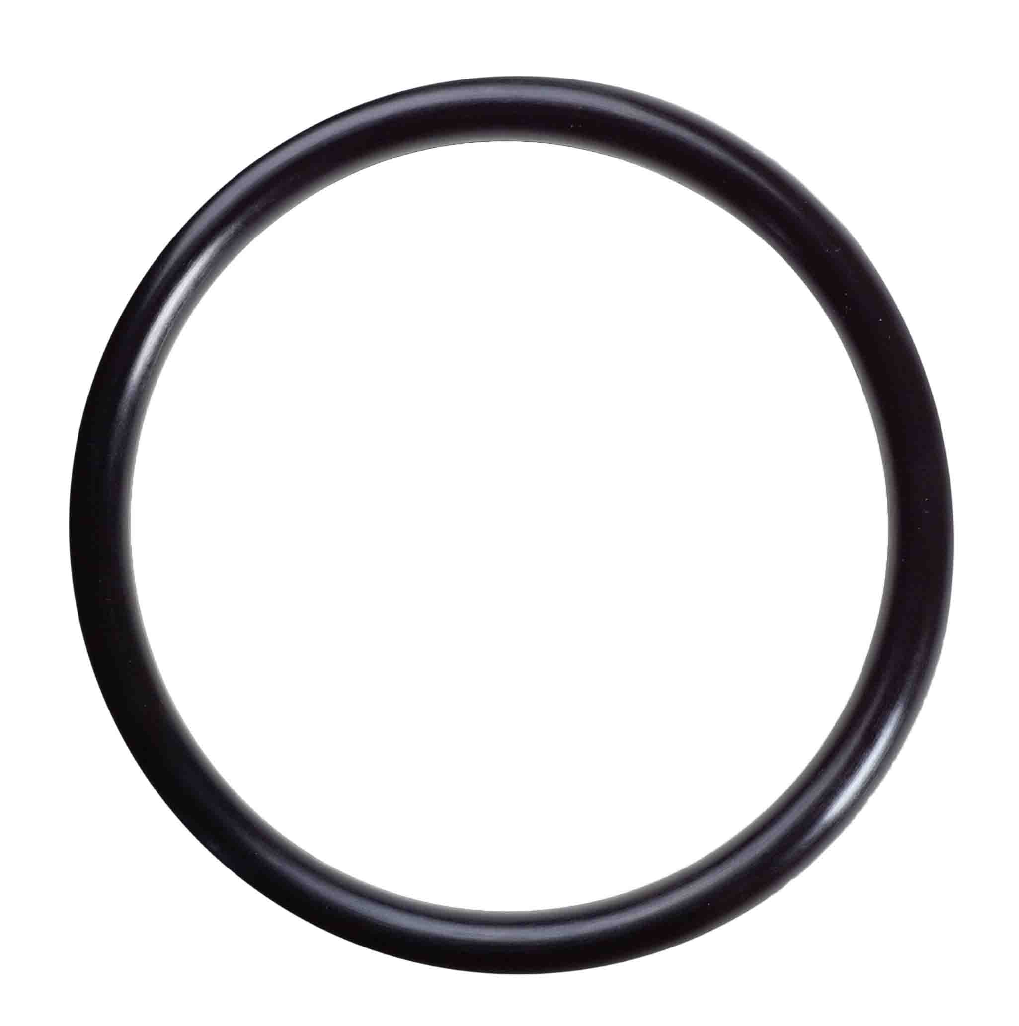 06808 - Housing O-rings for Nanopure II system